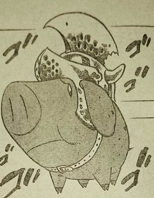 c-4.jpg